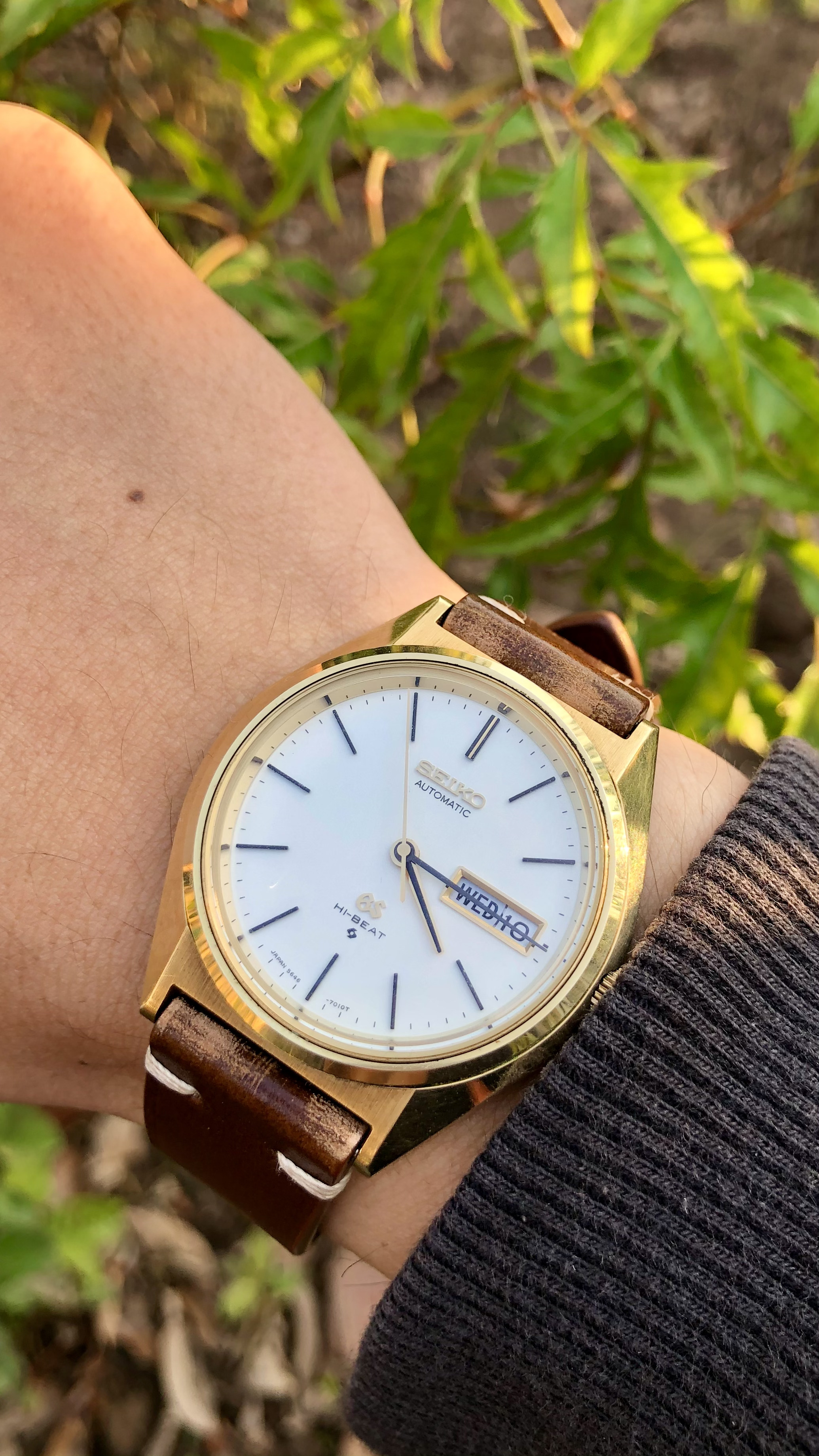 GRAND SEIKO GS 5646 - 7010 CAP GOLD -